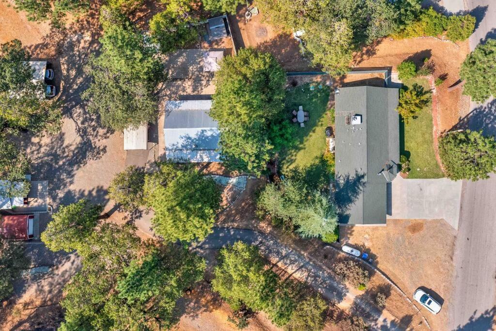 Acorn Cottage - Hidden Gem In Green Heaven, Getaway To Bass Lake & Yosemite オークハースト エクステリア 写真