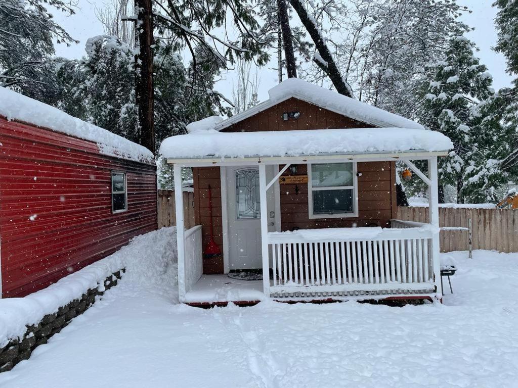 Acorn Cottage - Hidden Gem In Green Heaven, Getaway To Bass Lake & Yosemite オークハースト エクステリア 写真